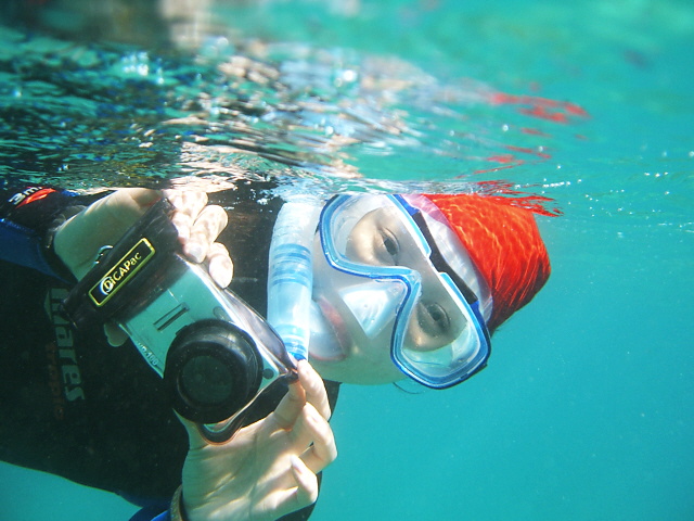 Водонепроницаемый чехол DiCAPac WP-310 для фотоаппаратов 